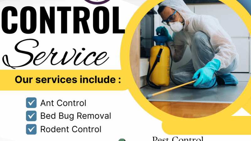 World Best Pest Control Services In Islamabad