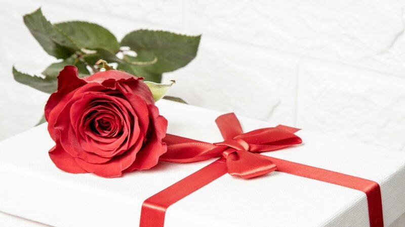 Virtual Blooms: Sending Love Across the Miles with Online Rose Day Gifts