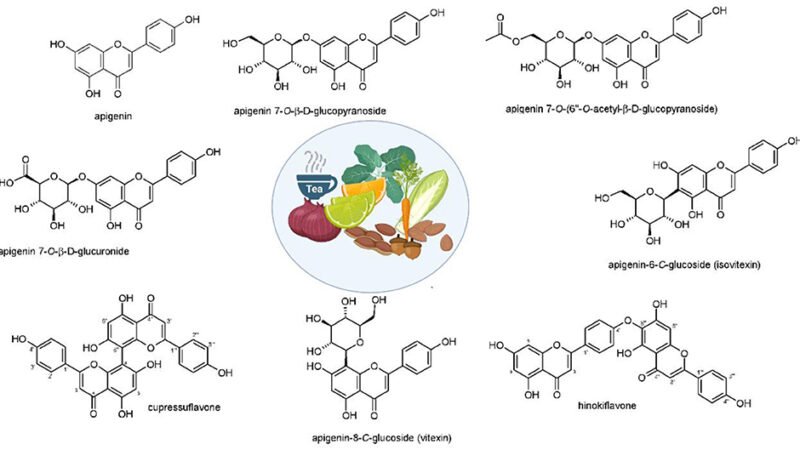 Choosing the Best Apigenin Supplement for Maximum Benefits 