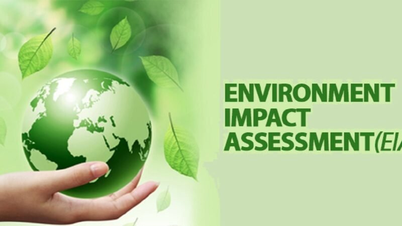 A Beginner’s Guide to Environmental Impact Assessment (EIA)