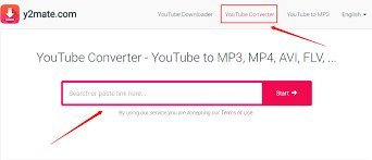 How to Use a YouTube to MP4 Converter for Easy Video Downloads