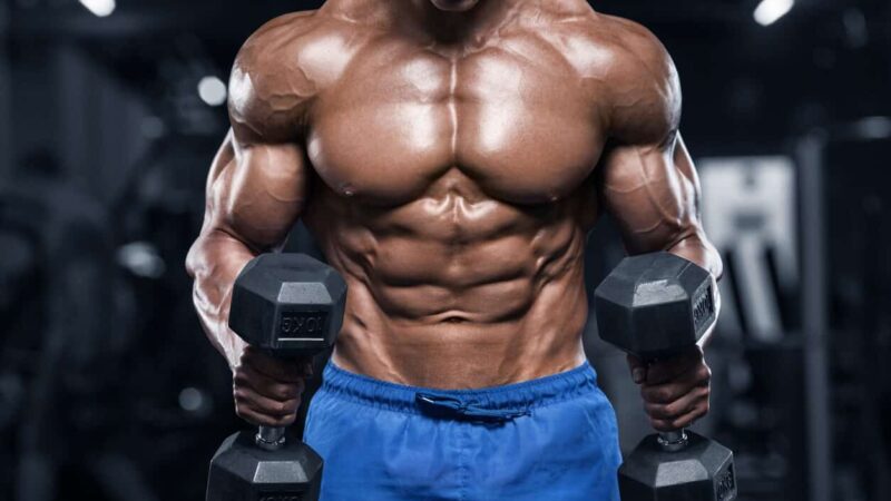 V Shred Reviews: Is This Fitness Program Worth Your Time?
